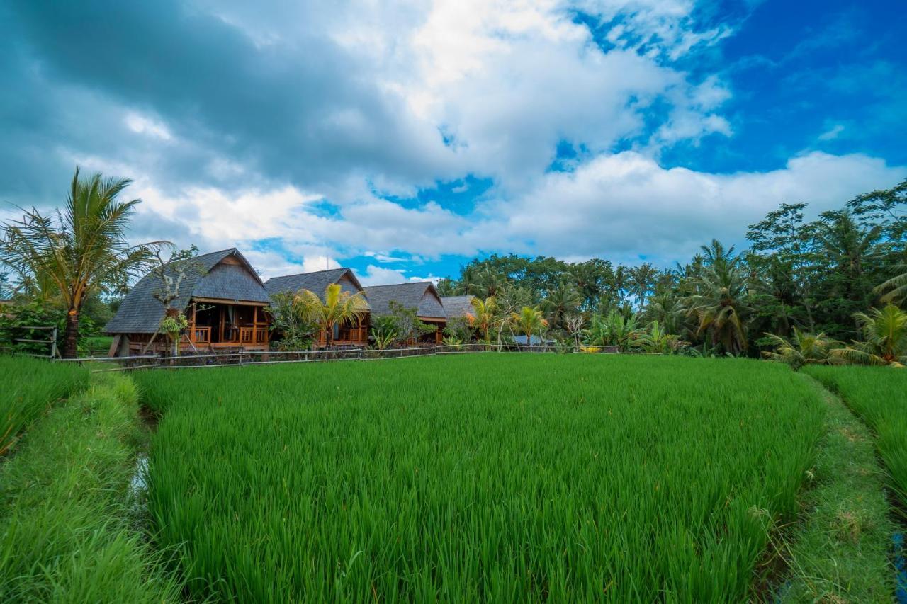Pb Pondok Gandalangu Garden House Bali ウブド エクステリア 写真